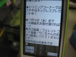 IMG_1584.JPG