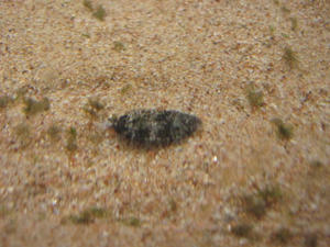 IMG_1624.JPG