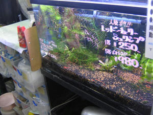 IMG_1686.JPG