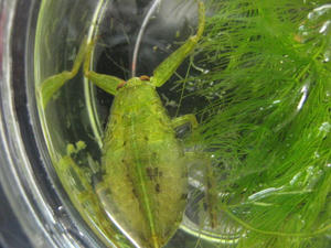 IMG_1786.JPG