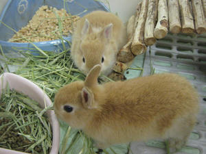 IMG_1875.JPG