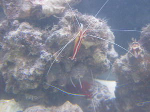IMG_1879.JPG