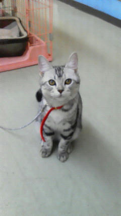 201112142021000.jpg