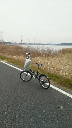 201201161231000.jpg