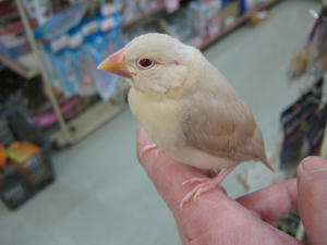 IMG_0633.JPG