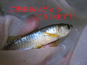 IMG_0640.JPG