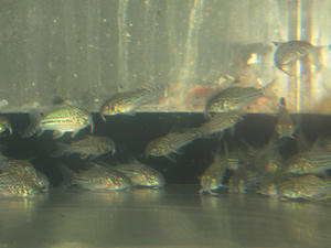 IMG_0726.JPG