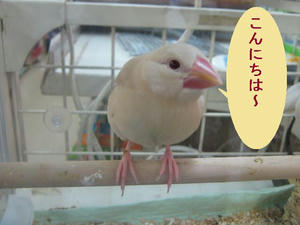 bfc4a27f.jpeg