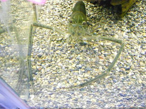 DSCN0261.JPG
