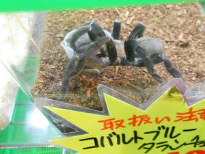 DSCN0280.JPG