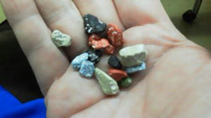 201202251225000.jpg