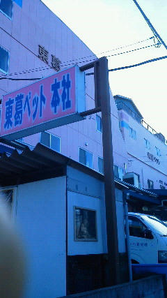 201203121533000.jpg