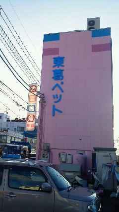 201203121552000.jpg