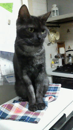 201203121930001.jpg