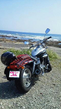 201204241411000.jpg