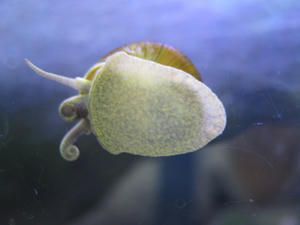 IMG_2192.JPG