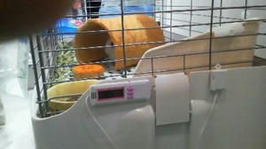 201203291150000.jpg