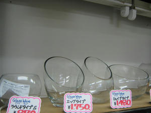 IMG_2514.JPG