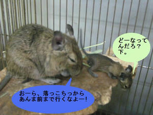IMG_2595.JPG