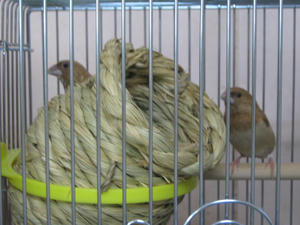 IMG_3959.JPG