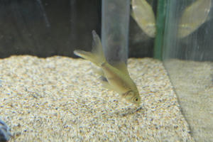 IMG_3879.JPG