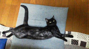 201207080044001.jpg
