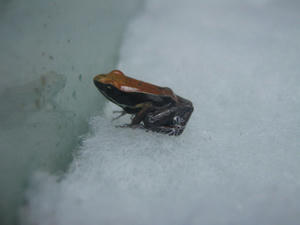 IMG_4636.JPG