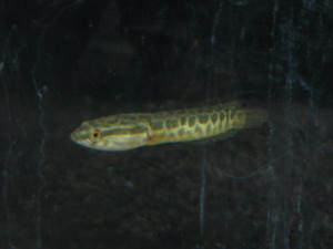 IMG_4686.JPG