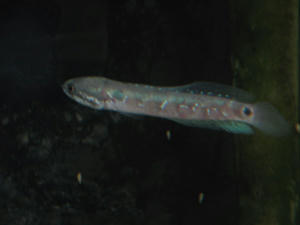 IMG_4688.JPG