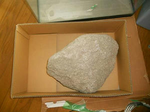 DSCN0379.JPG