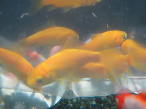 IMG_4778.JPG