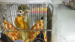 201208221242000.JPG
