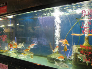 IMG_4826.JPG