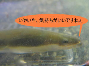 IMG_4833.JPG