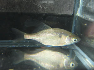 IMG_4945.JPG