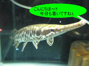 IMG_4960.JPG