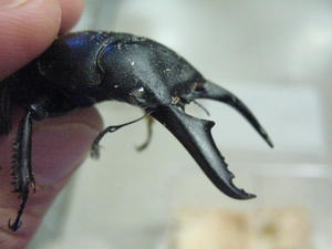 IMG_5042.JPG