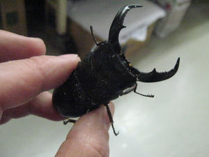 IMG_5044.JPG