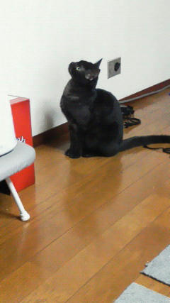 201208050010001.jpg