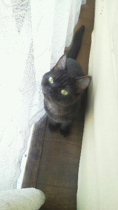 201209111135000.jpg