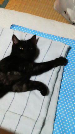 201207310112002.jpg
