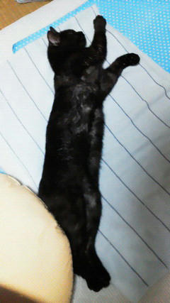 201207310112001.jpg