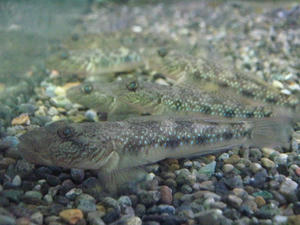 IMG_5125.JPG