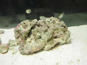 PA030485.JPG
