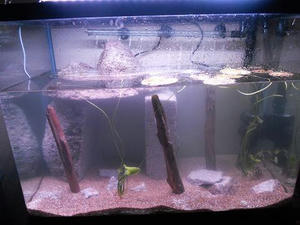 DSCN0819.JPG