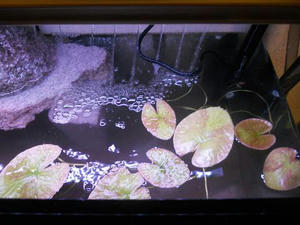 DSCN0818.JPG