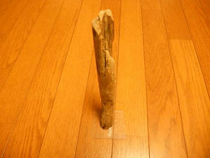 DSCN0815.JPG