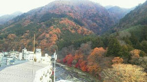 201211150702000.jpg