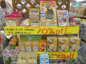 DSCN6019.JPG
