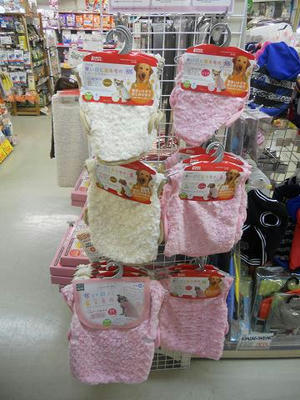 DSCN6021.JPG